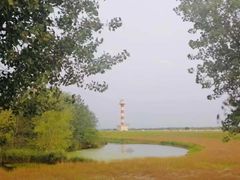 -合肥滨湖国家森林公园