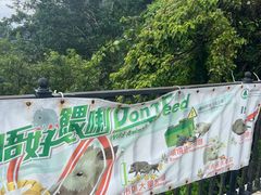 -太平山顶