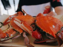 -大锅强·蒸海鲜青岛菜(吾悦广场店)