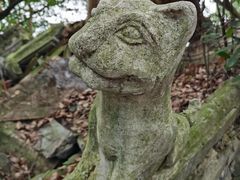 -凤栖山