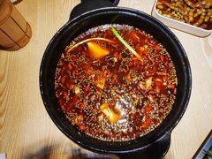 -香坝坝鲜鱼火锅(春熙路店)
