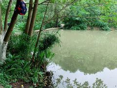 -桤木河湿地公园