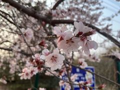 -北京奥林匹克公园