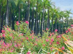 -深圳国际园林花卉博览园