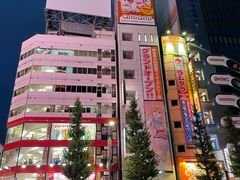 -秋叶原电器街