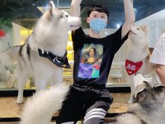 -Husky Go! 哈士奇体验馆·宠物咖啡厅狗咖