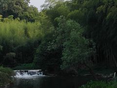 -杭州植物园