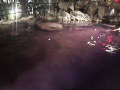 -湖泉半山温泉