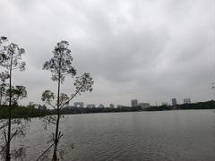 -海珠湖公园