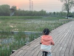 -永定河休闲森林公园