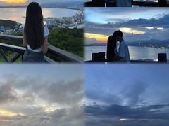 -广东惠东海龟国家级自然保护区