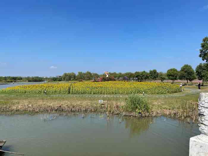 芜湖六郎湿地公园图片