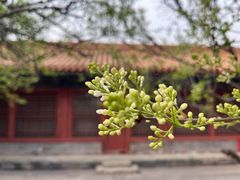 -故宫博物院(故宫)