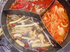 -蜀大侠火锅(森兰花园城店)