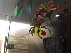 -健龙森俱乐部·游泳·健身·羽毛球综合体育馆