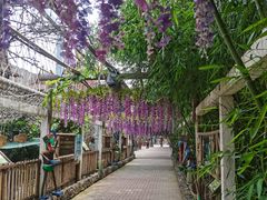 -呀路古热带植物园