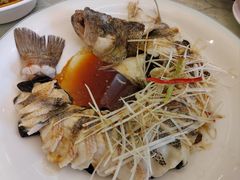 -博雅渔港·融合菜(维也纳国际大酒店)