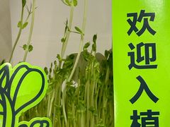 -海底捞火锅(奥森店)