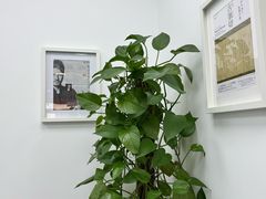 -樱花国际日语(徐家汇中心)