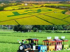 -光明小镇欢乐田园