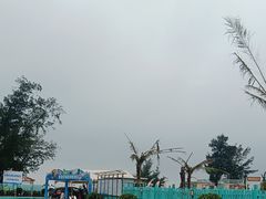 -西涌国际滨海旅游区