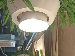 -天山醉美辣子鸡(文艺路店)