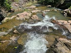 -广州白江湖森林公园