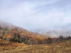 -灵山