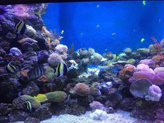 -成都浩海立方海洋公园