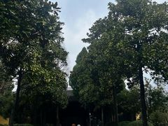 -太平天国侍王府