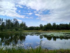 -东郊湿地公园