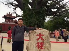 -大槐树寻根祭祖园