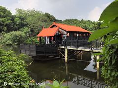 -侨美·唐荔园·40年地道粤菜