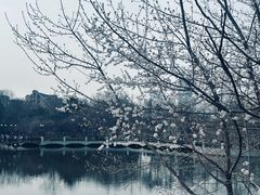 -大连植物园