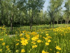 -东郊湿地公园