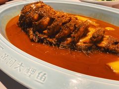 -阿五黄河大鲤鱼(纬三路店)