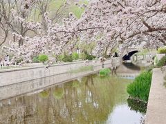 -海棠花溪(元大都城垣遗址公园)