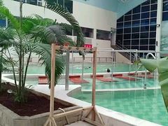 -龙脉温泉室内游泳馆