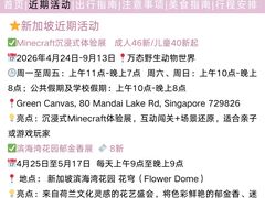 -圣淘沙天际线斜坡滑车