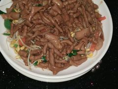 -丰食农家乐