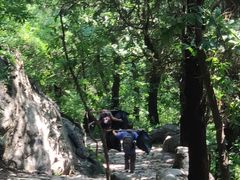 -阳台山自然风景区