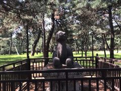 -沈阳市东陵公园