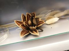 -梦东方未来世界航天主题乐园