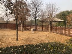 -石家庄市动物园