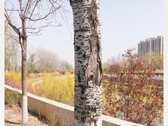 -东坝千亩湖公园