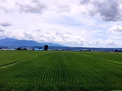 -富田农场