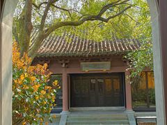 -慧因高丽寺