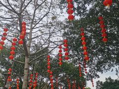 -深圳仙湖植物园