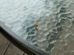 -润和祥小砵头甜酒酿