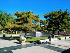 -永定河休闲森林公园